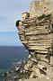0058 Bonifatio